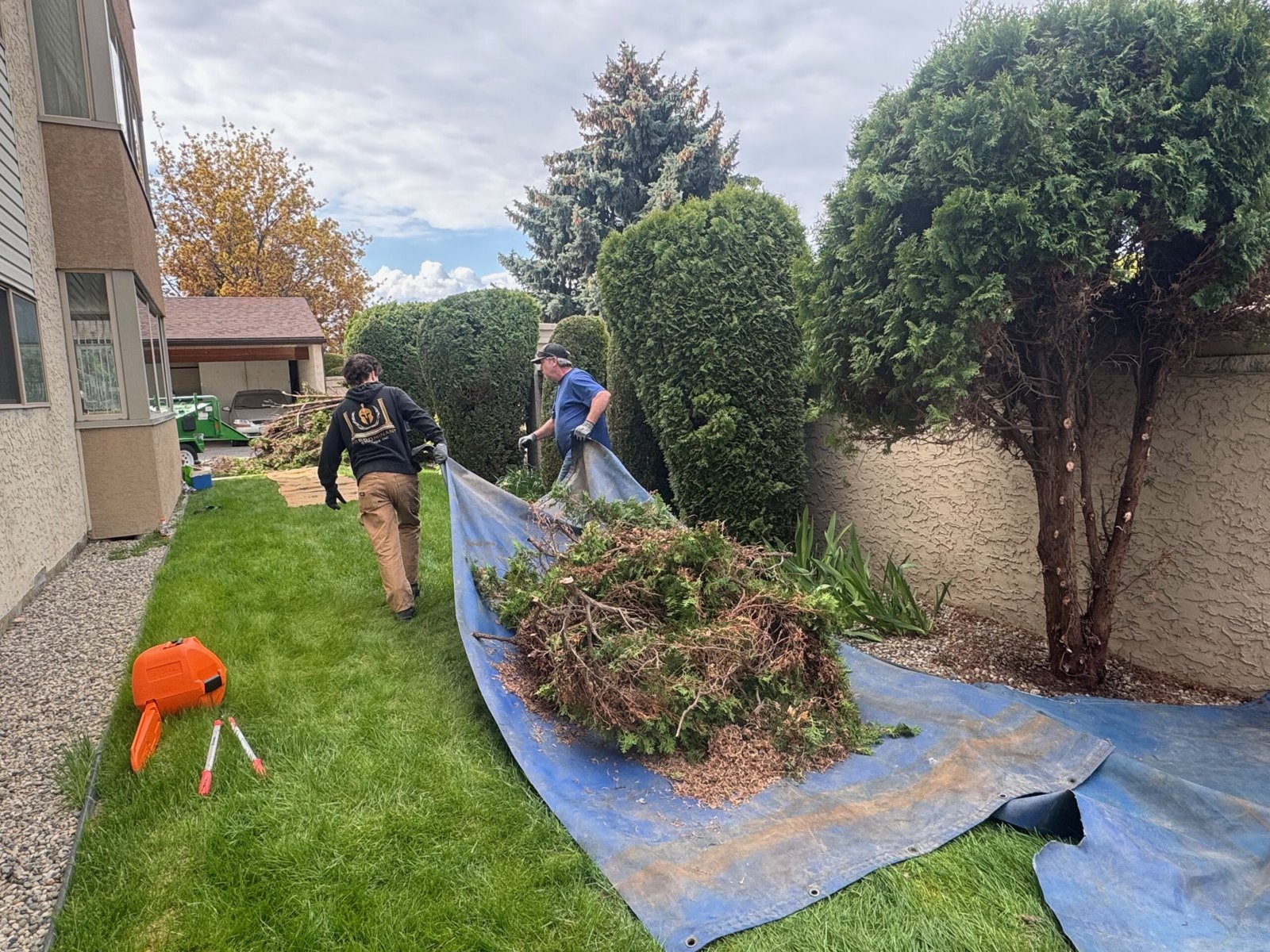 CutTree.Co Kelowna pruning and tree care work