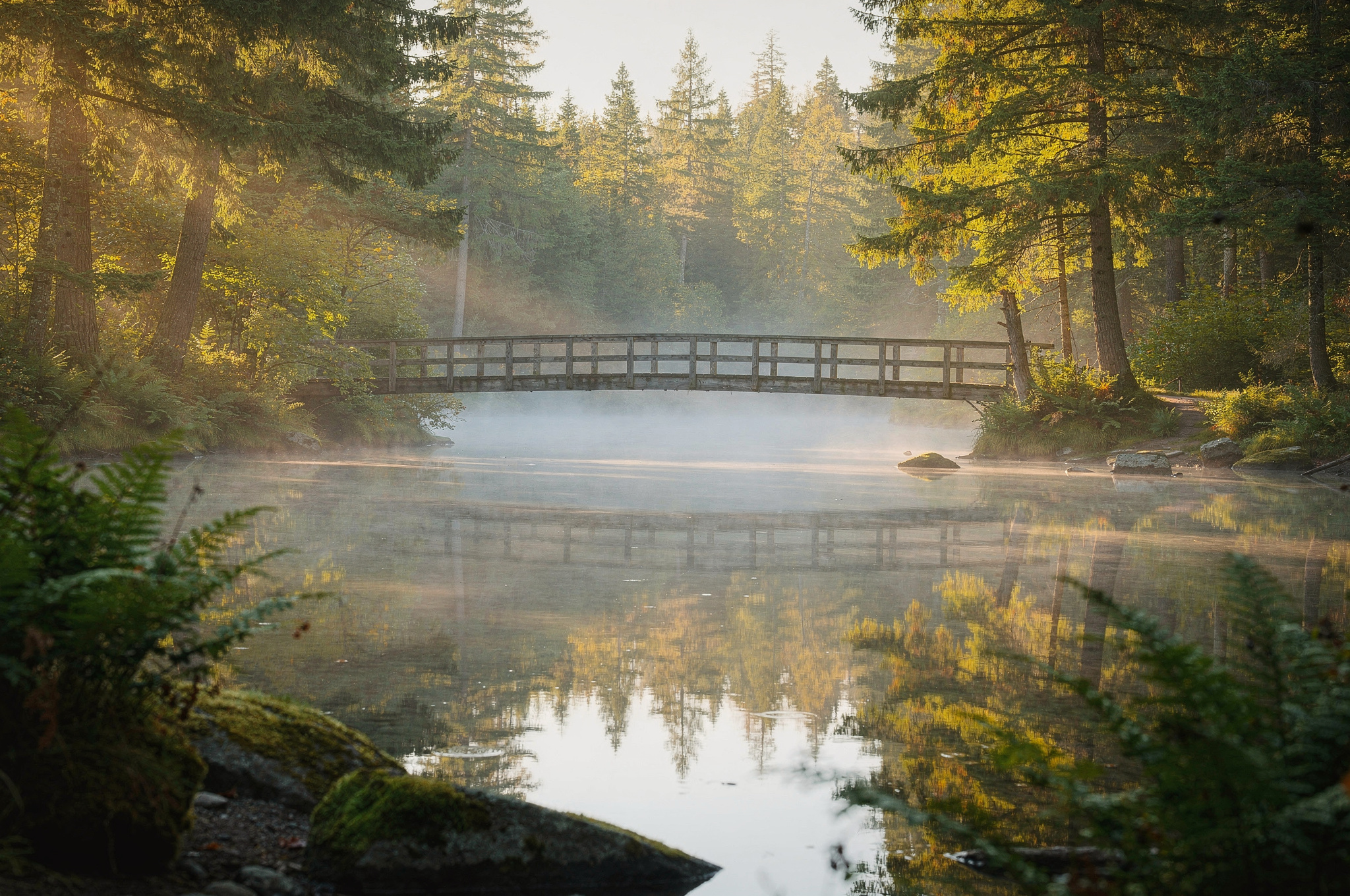 Wooden footbridge over a misty forest lake in Port Moody