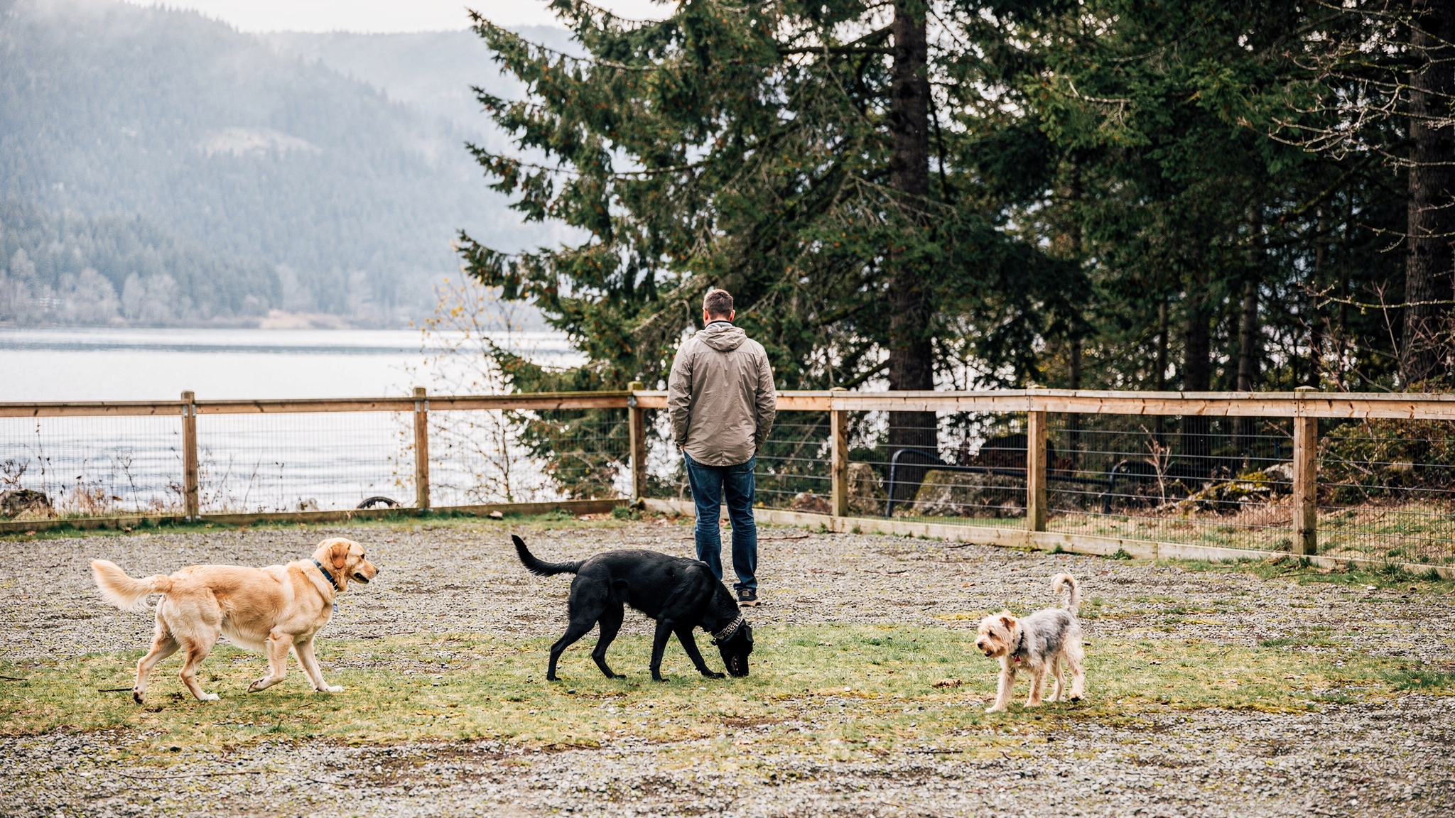 Port Moody BC, Port Moody Dog Parks and Pet Services