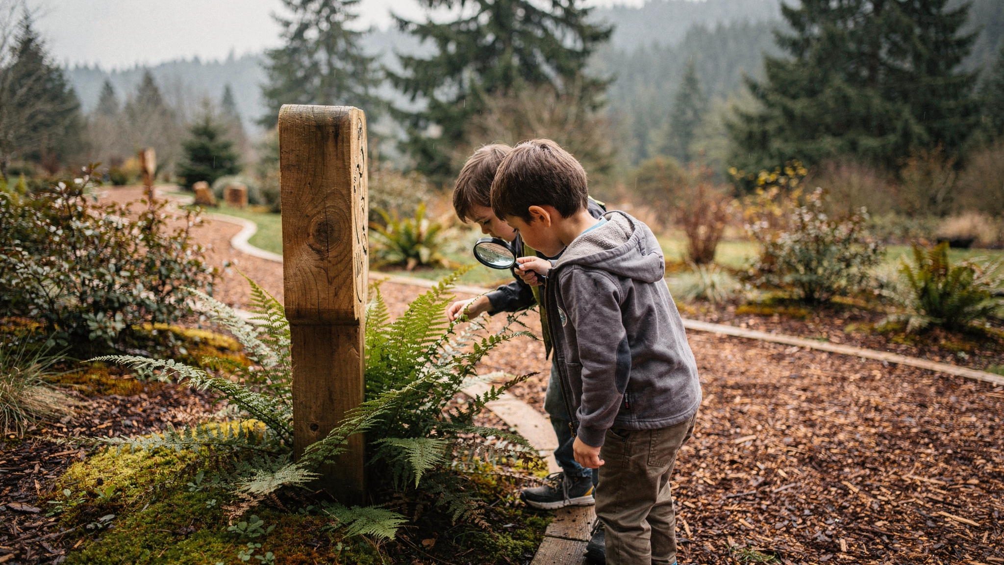 Two children with a magnifying glass exploring ferns along a nature trail in a Port Moody park