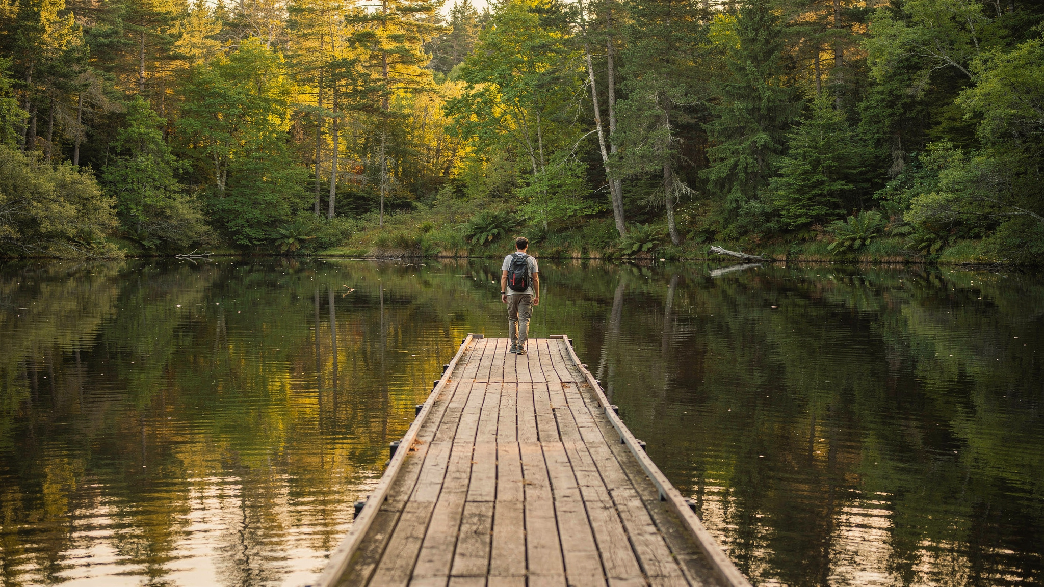 Sasamat Lake (White Pine Beach): A Port Moody Day Trip Guide