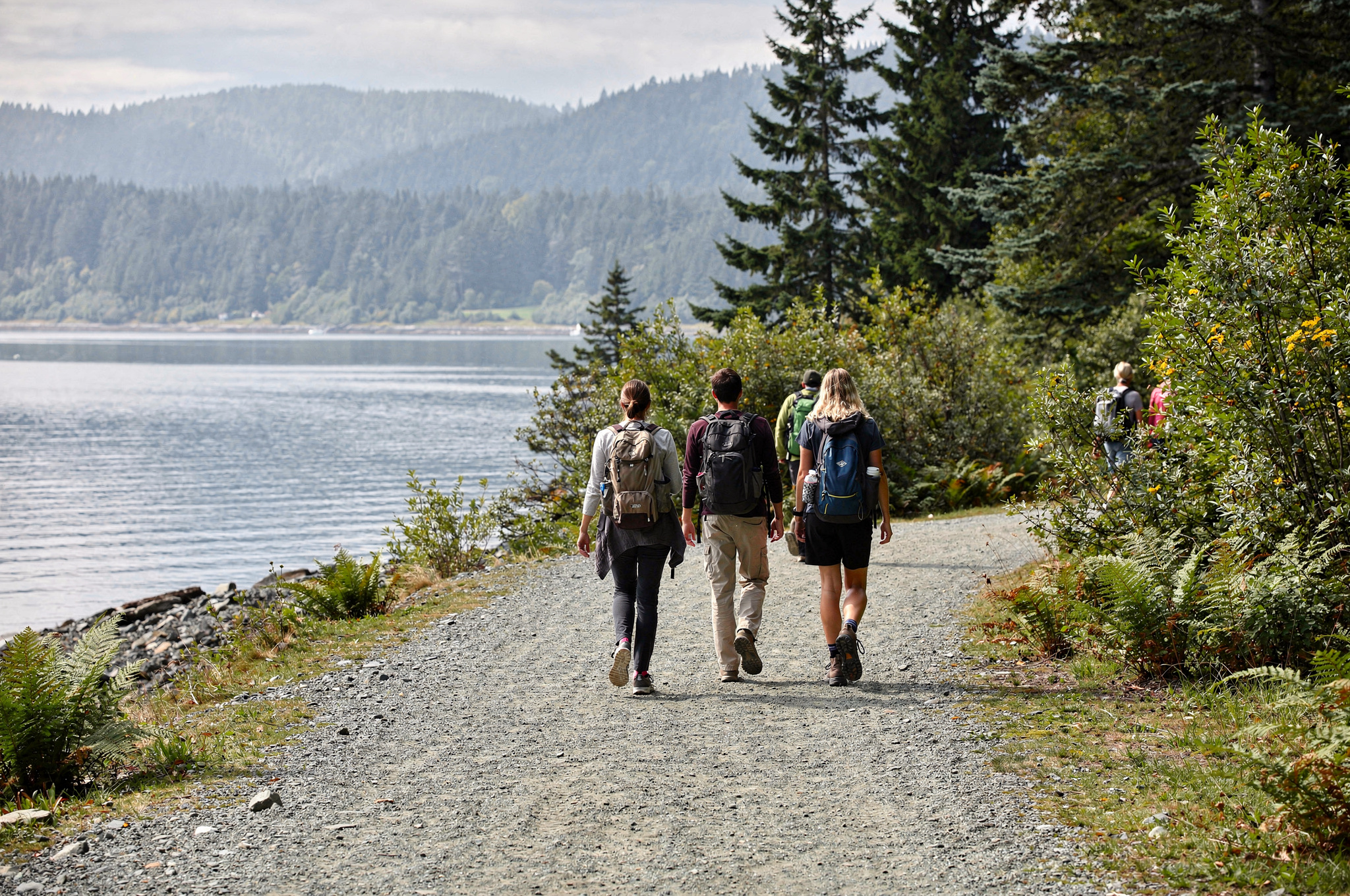Hikers walking along a gravel waterfront trail beside a forested inlet